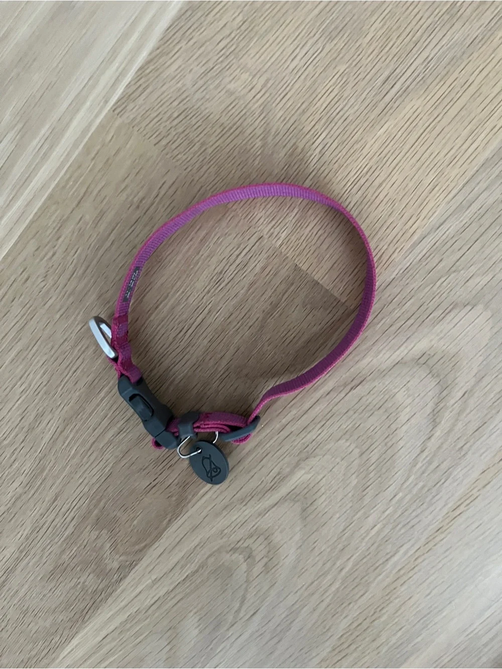 RuffWear sturdy collar
